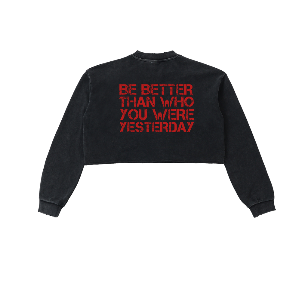 Snow Washed Raw Edge Cropped Sweatshirt