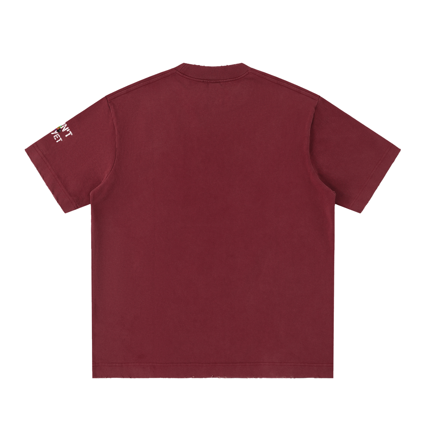 Be better than who you were yesterday - Heavyweight Vintage Washed Frayed T-Shirt